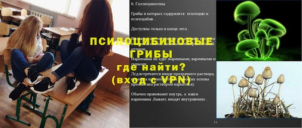 гашик Алзамай