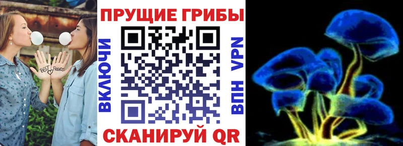 кракен вход Череповец Псилоцибиновые грибы мухоморы