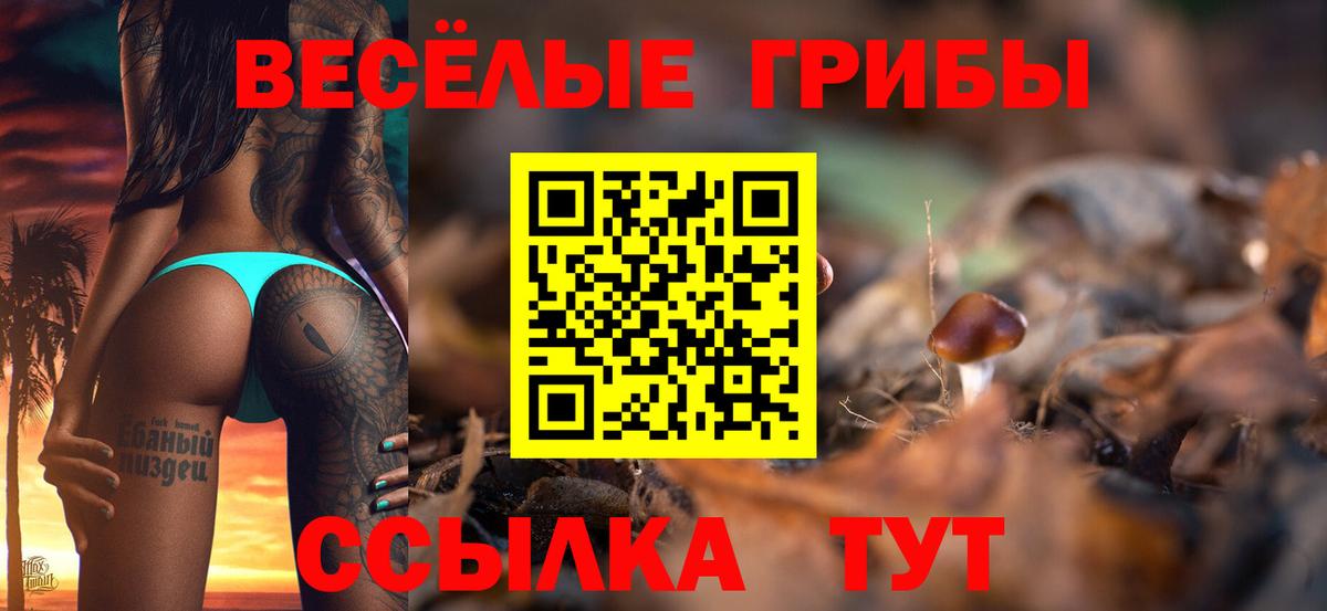 Череповец  Галлюциногенные грибы прущие грибы  Вход с VPN  Галлюциногенные грибы MAGIC MUSHROOMS 